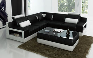 Hybra Modern Leather Sectional