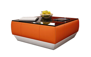 Ropil Coffee Table