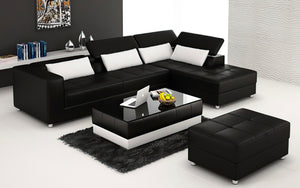 Erial Modern Leather Sectional