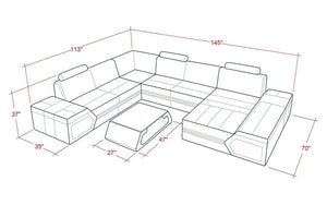 Lanz Modern Leather Sectional with Chaise